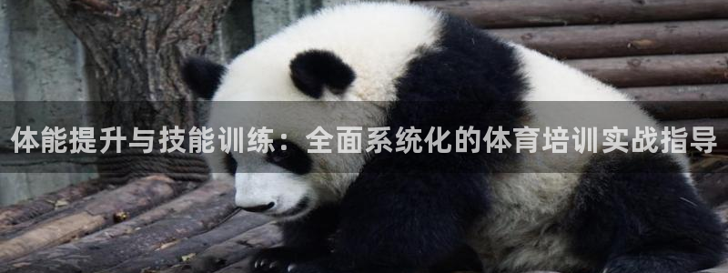 JJB竞技宝官方正版app集团简介:体能提升与技能训练:全面